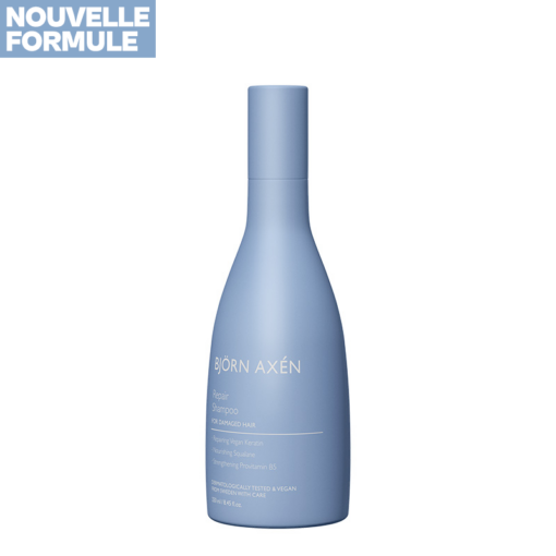 Repair Shampoo 250 ml - BJORN AXEN